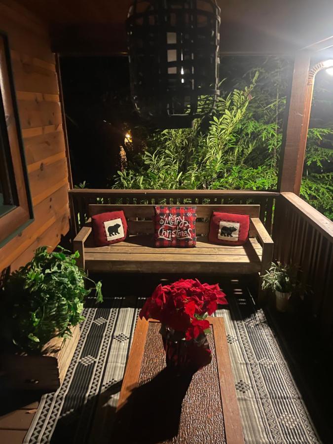 Cozy Creekfront Family Cabin-Pet Friendly -Gamerm-Hot Tub Hiawassee Extérieur photo